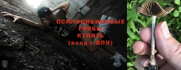 дурь Михайловка